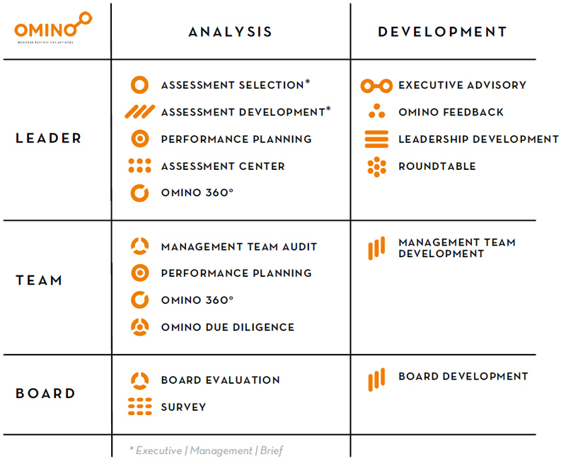 Omino matrix: analysis and development